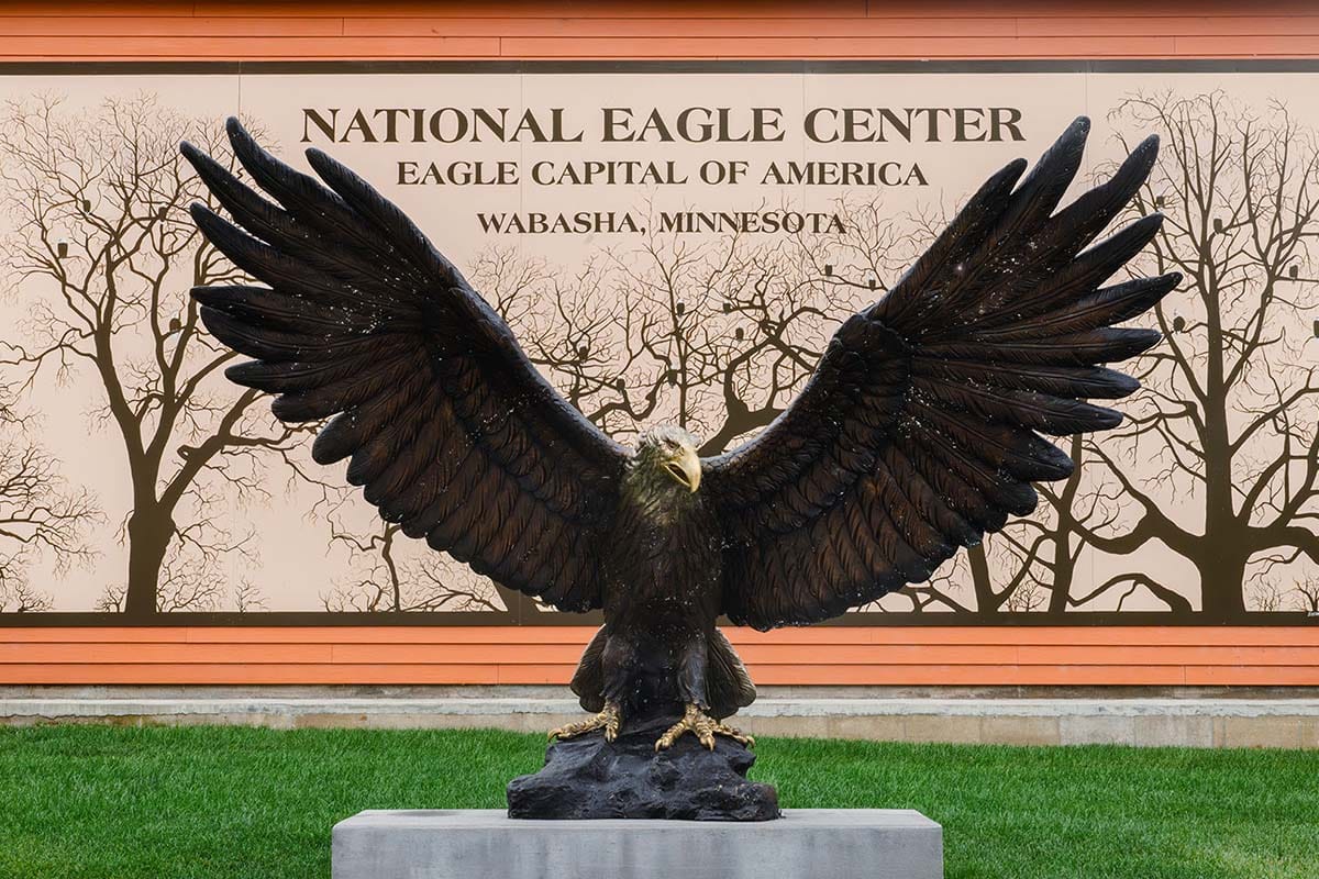 Eagle Center Eagle Statue